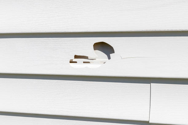 Best Siding Repair  in Defiance, OH